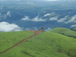 Bangalore - Mysore - Coorg Tour Package