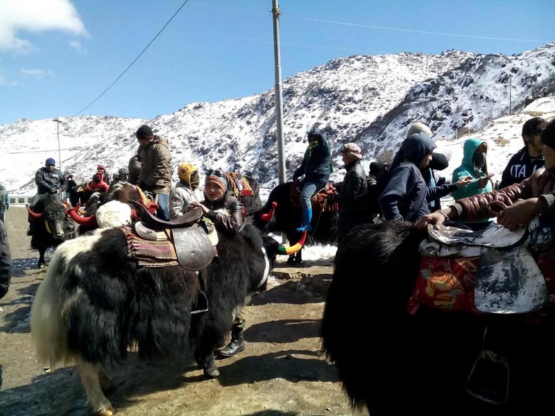 Gangtok - Sikkim - Darjeeling Tours