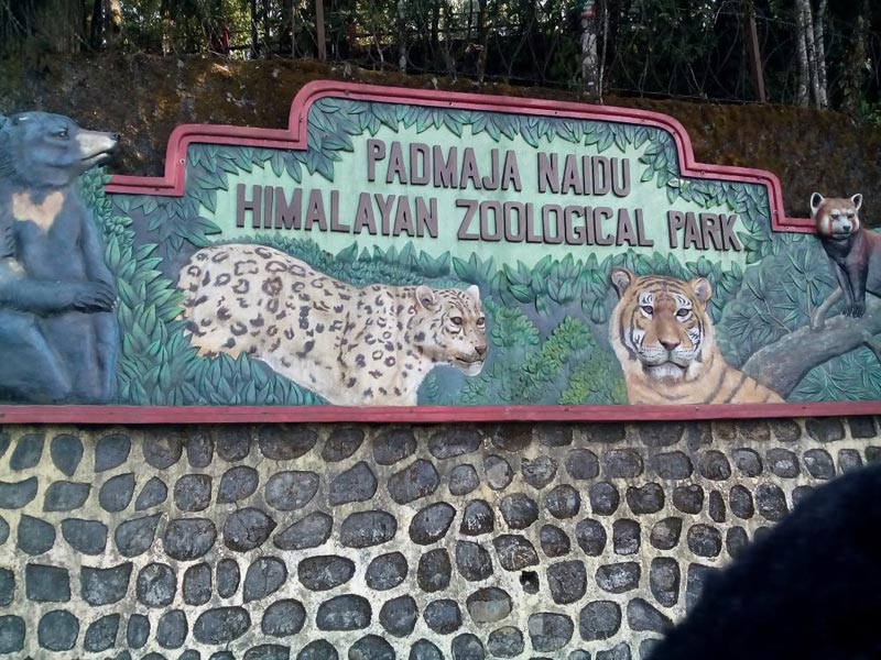 Gangtok - Sikkim - Darjeeling Tours