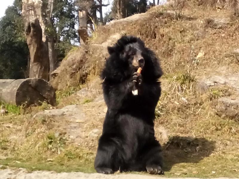 Gangtok - Sikkim - Darjeeling Tours