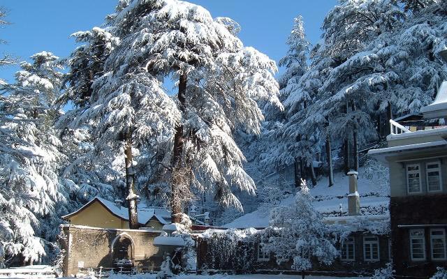 Delhi - Shimla - Manali - Chandigarh Tour