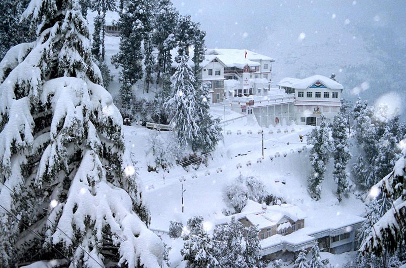 Ambala - Shimla - Manali - Rohtang - Chandigarh Tour