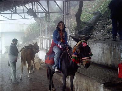 Pilgrimage Vaishno Devi Darshan Package