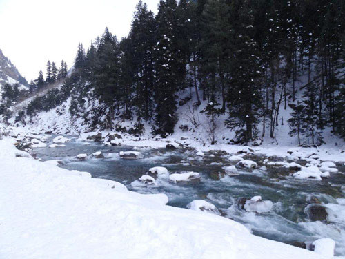 Jammu - Srinagar - Gulmarg - Pahalgam - Sonamarg Tour