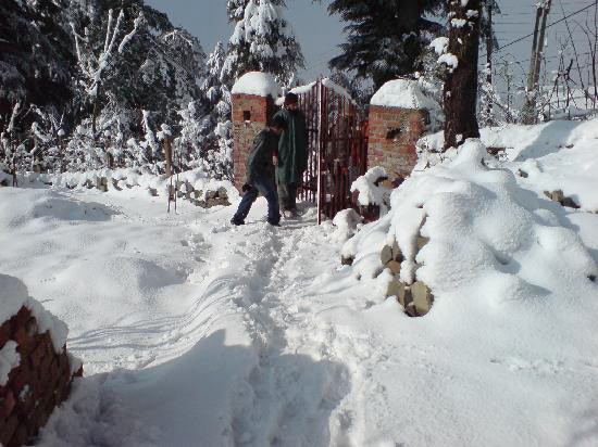 Vaishno Devi - Katra - Patnitop Tour