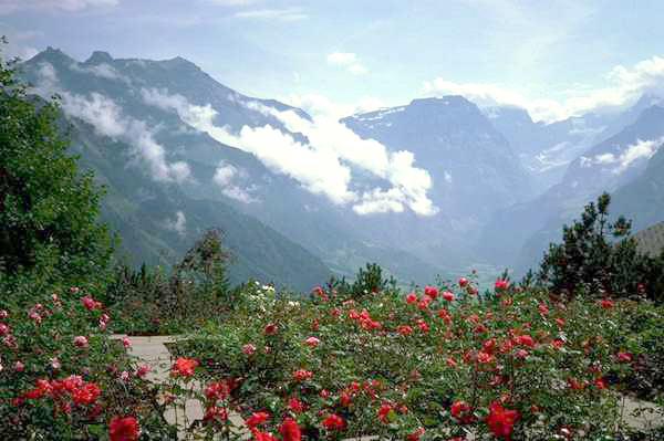 Delhi - Massoorie - Rishikesh - Haridwar Tour