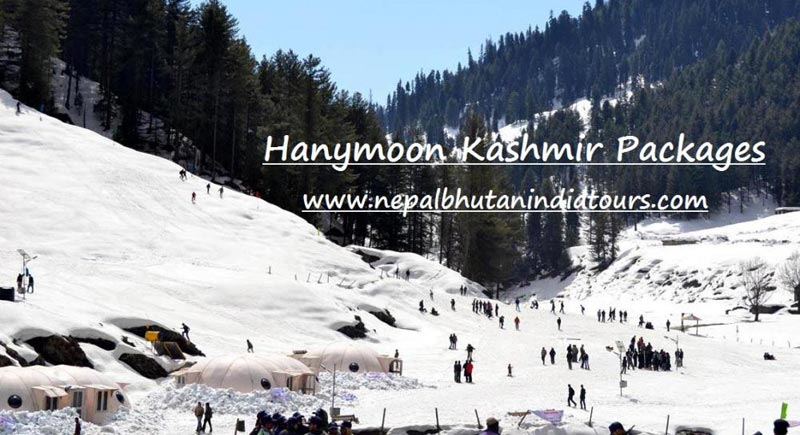 Honeymoon Kashmir Tour Package