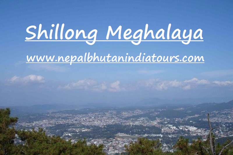 North East India Guwahati - Shillong - Cherrapunji Tour