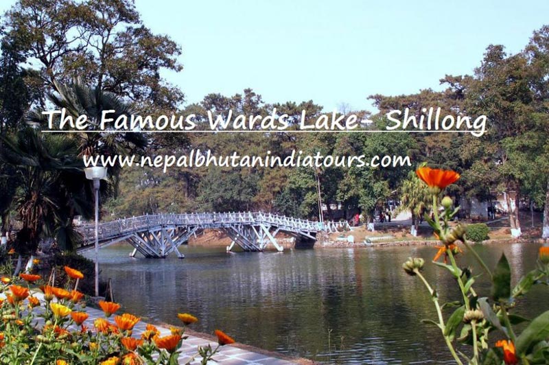 North East India Guwahati - Shillong - Cherrapunji Tour