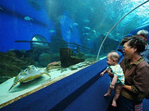 Bangkok - Pattaya - Phuket Tour