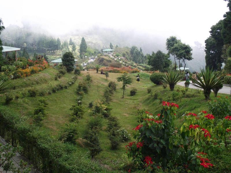 Darjeeling - Kalimpong - Gangtok Sikkim Tour