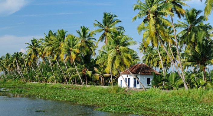 Kerala Exotic Tour
