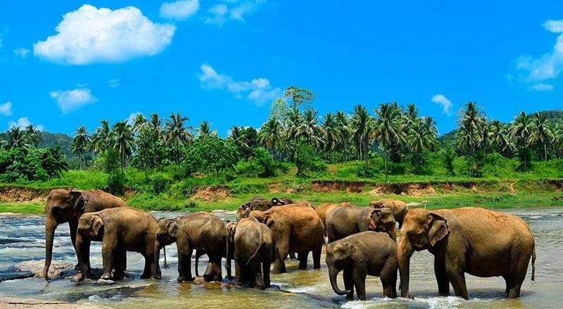 Explore Sri Lanka Tour