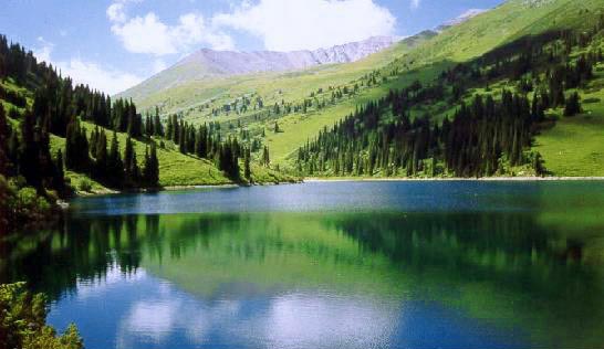 Amazing Australia with Newzealand Tour