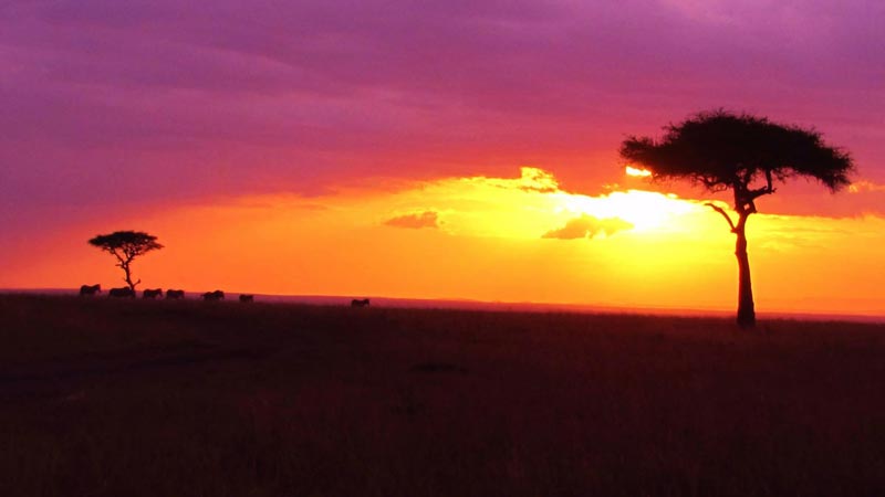 3 Days Serengeti And Ngorongoro Crater Budget Camping Safari