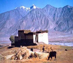 Panoramic Ladakh Tour