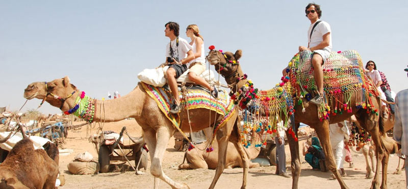 Pushkar and Tajmahal Tour