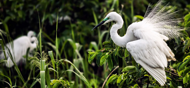 Kerala Ayurveda Tour