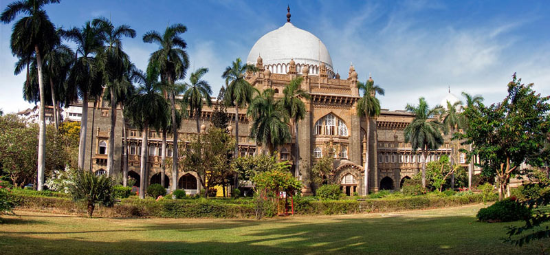 Beautiful Nest and Backwater Tour