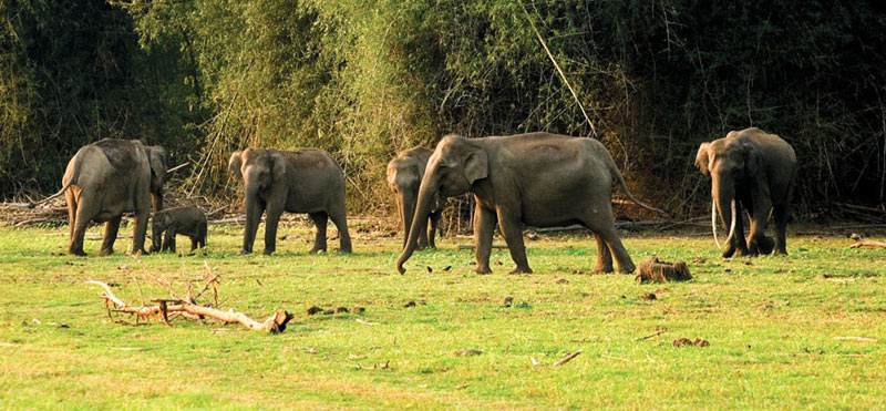 Discover Kerala Tour