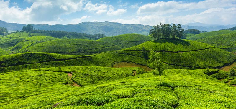 South India Golden Triangle Tour