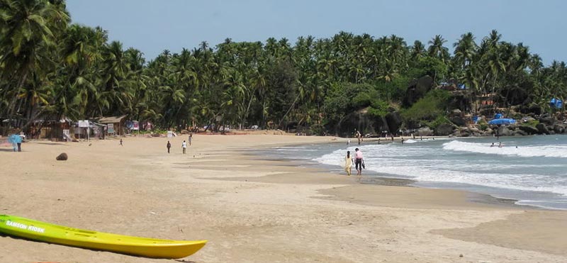 Culture of Karnataka with Wildlife Tour