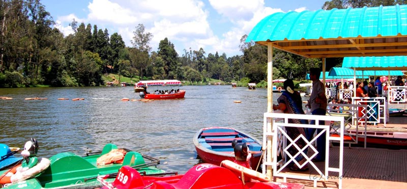 Karnataka Wildlife Tour