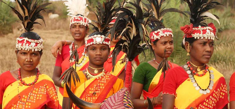 India Tiger Trails Package