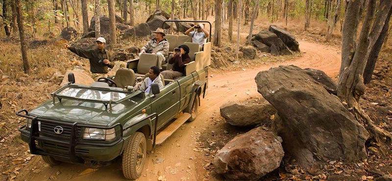 Footsteps of the Tiger Package