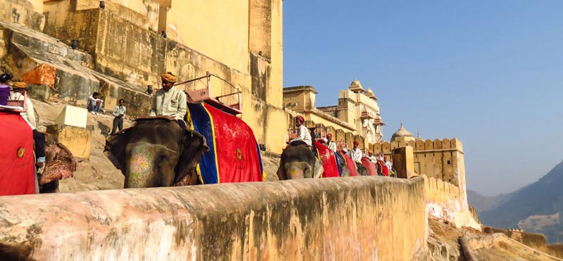 Footsteps of the Tiger Package