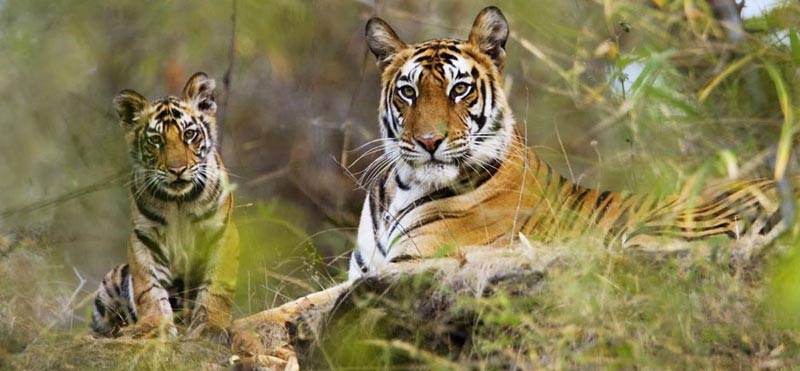 Mumbai - Chennai Tour