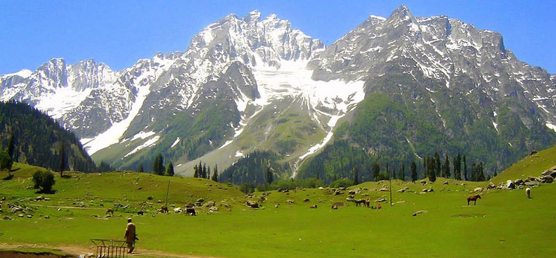 Charming Kashmir Tour
