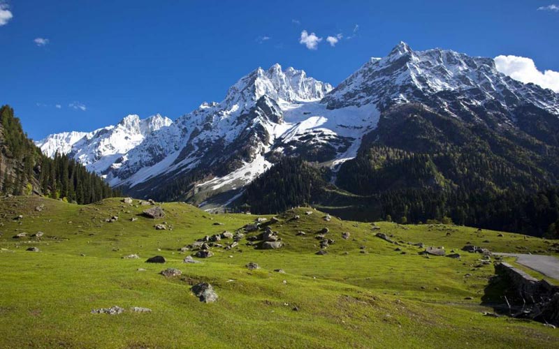 Romantic Kashmir Tour