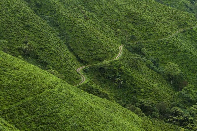 Himalayan Tranquility Package