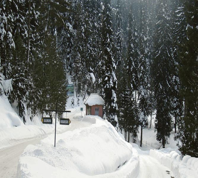 Kashmir Family Vacations Tour