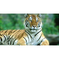 Rediscover Rajasthan Tour