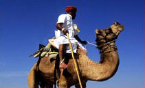 Rajasthan Cultural Tour
