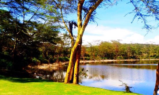 Four Days Three Nights Lake Naivasha Tour