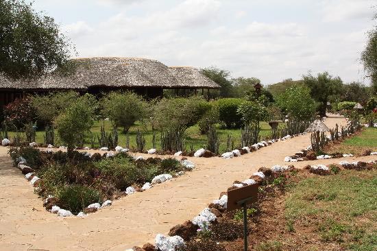 Four Days Three Nights Amboseli Tour