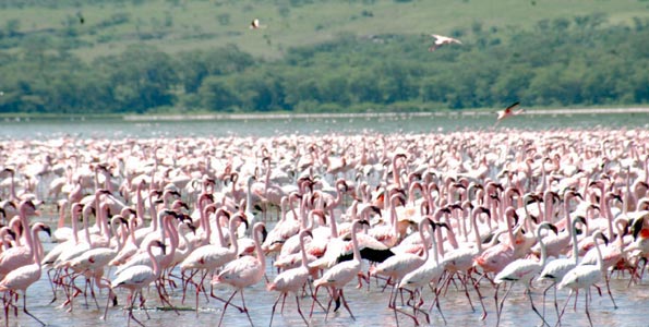 Three Days Two Nights Lake Element Taita Tour
