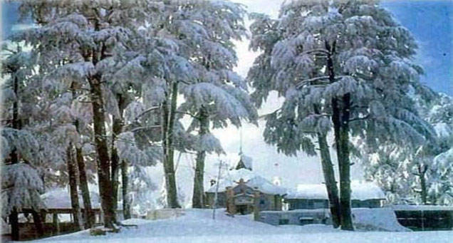 Shimla With Parwanoo ,(3N/4D) Standard, Ex - Delhi