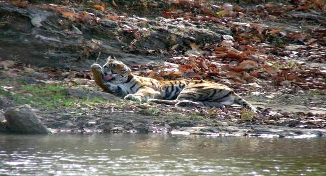 Madhya Pradesh Delights, (4N/5D) 3 Star , Ex - Orchha Tour