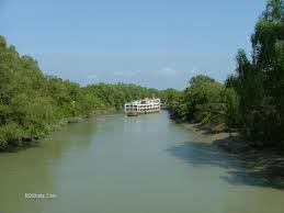 Kolkata City With Mangrove Forest