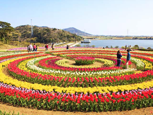 Amritsar To Srinagar Tour