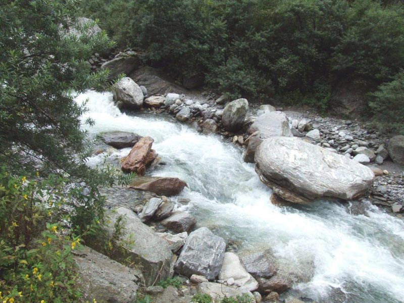 Chota Char Dham Tour Package