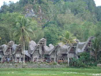Toraja Anciant Village Tour