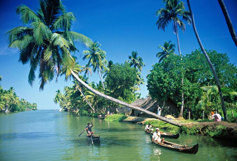 The Paradise Of Kerala Tour