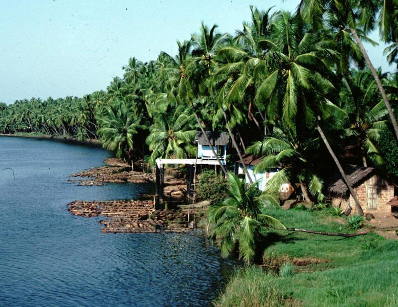 Magical Kerala Tour