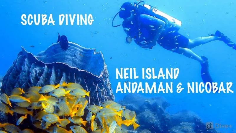 Delightful Andaman Tour