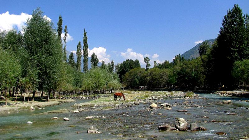 Glimpses of  Kashmir Tour